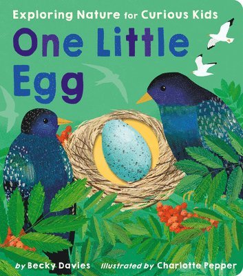 Becky Davies - One Little Egg, Kartonnage