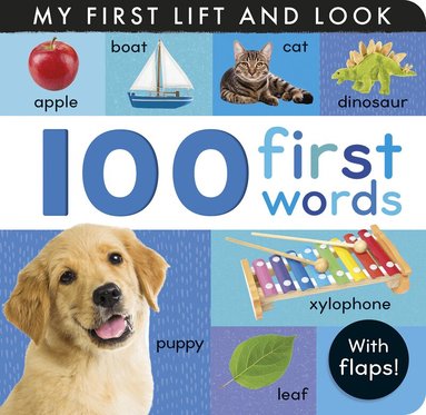 Hettie Cox - 100 First Words, Kartonnage