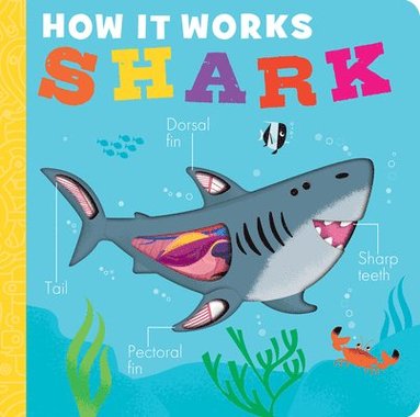 Molly Littleboy - How It Works: Shark, Kartonnage
