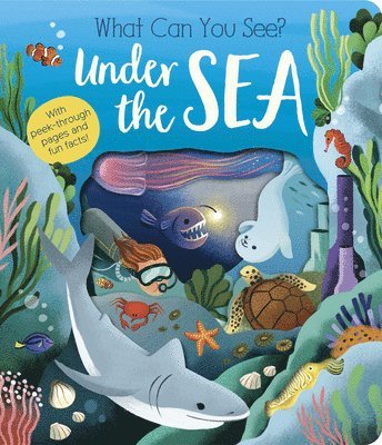 Molly Littleboy - What Can You See? Under the Sea: With Peek-Through Pages and Fun Facts!, Kartonnage