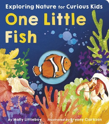 Molly Littleboy - One Little Fish: Exploring Nature for Curious Kids, Kartonnage
