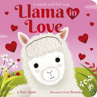 Rosie Adams - Llama in Love, Kartonnage
