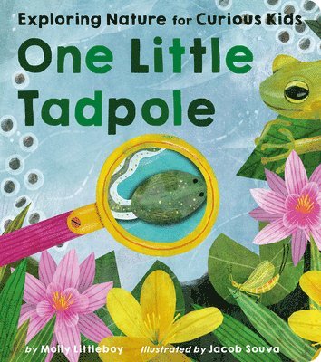 Molly Littleboy - One Little Tadpole: Exploring Nature for Curious Kids, Kartonnage