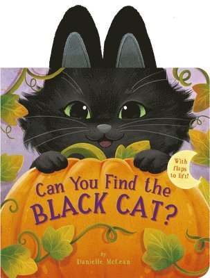 Can You Find the Black Cat? 1