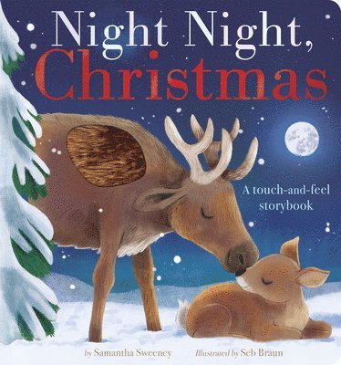 bokomslag Night Night, Christmas