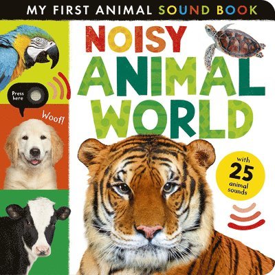 Noisy Animal World 1