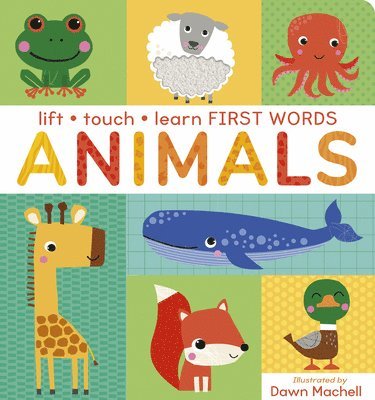 bokomslag Lift Touch and Learn First Words: Animals