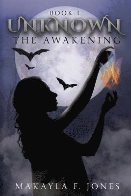 bokomslag Awakening
