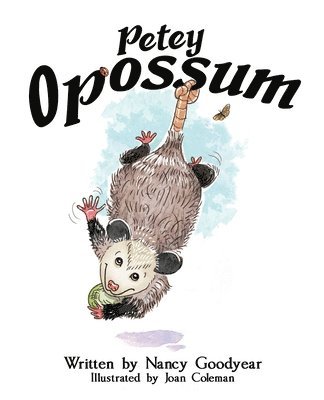 Petey Opossum 1