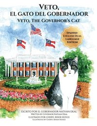 bokomslag Veto, El Gato Del Gobernador