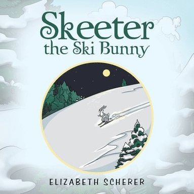 bokomslag Skeeter, the Ski Bunny