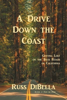 Drive Down the Coast