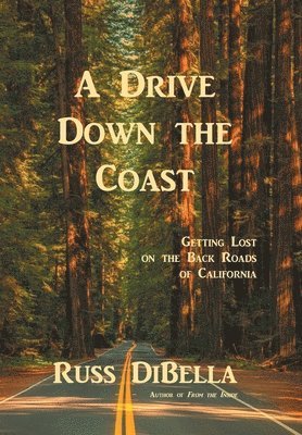 bokomslag Drive Down the Coast