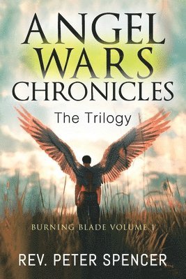 bokomslag Angel Wars Chronicles