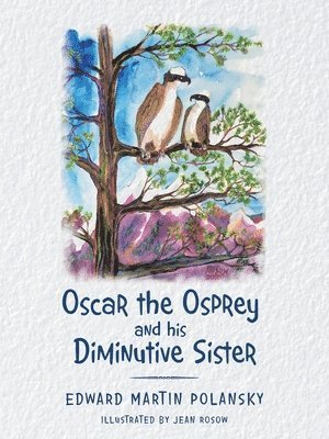Oscar the Osprey and His Diminutive Sister 1