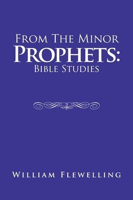 bokomslag From the Minor Prophets