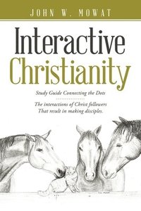 bokomslag Interactive Christianity