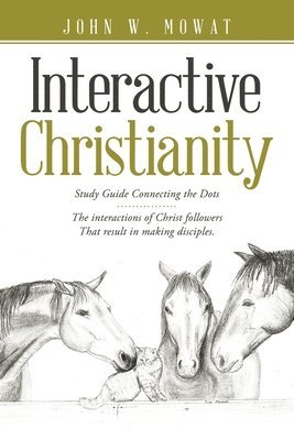 bokomslag Interactive Christianity