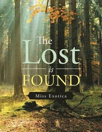 bokomslag Lost Is Found