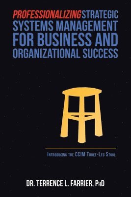 bokomslag Professionalizing Strategic Systems Management for Business and Organizational Success