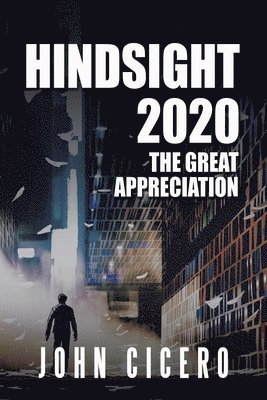 bokomslag Hindsight 2020