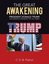 bokomslag Great Awakening