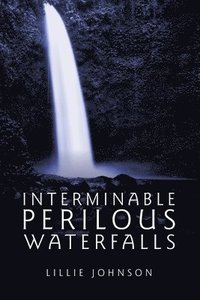 bokomslag Interminable Perilous Waterfalls