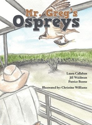 Mr. Greg's Ospreys 1