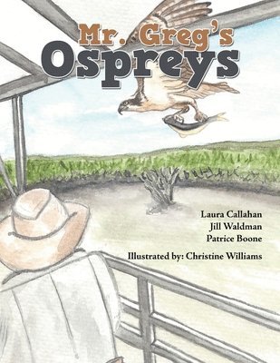 Mr. Greg's Ospreys 1