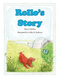 bokomslag Rollo's Story