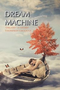 bokomslag Dream Machine