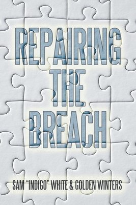 Repairing the Breach 1