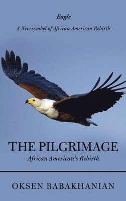bokomslag Pilgrimage