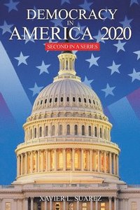 bokomslag Democracy in America 2020