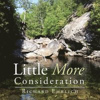 bokomslag Little More Consideration