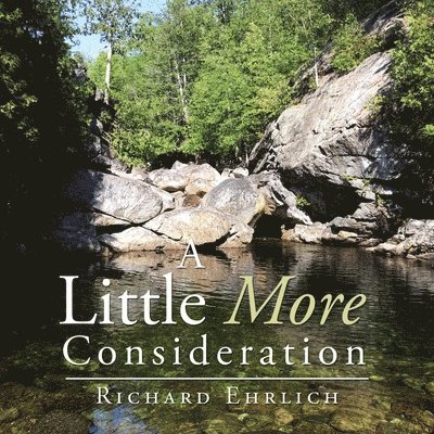 Richard Ehrlich - Little More Consideration, Häftad