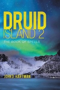 bokomslag Druid Island 2