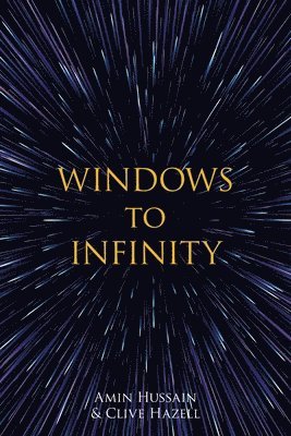 bokomslag Windows to Infinity