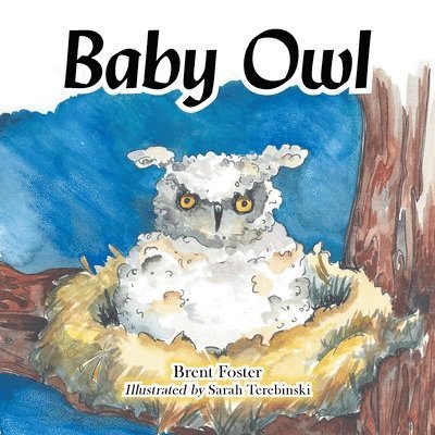 Baby Owl 1