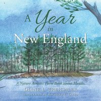 bokomslag A Year in New England