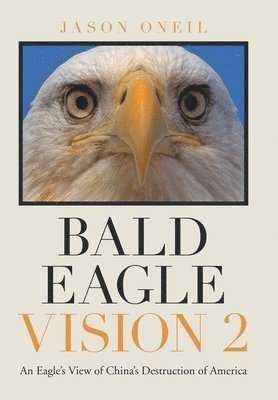 Bald Eagle Vision 2 1