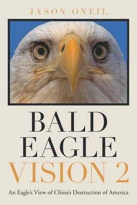 Bald Eagle Vision 2 1