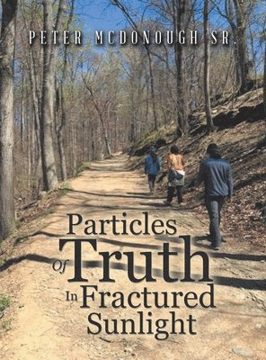 Particles of Truth in Fractured Sunlight 1