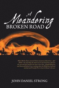 bokomslag A Meandering Broken Road