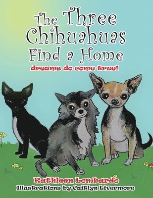 Three Chihuahuas Find a Home