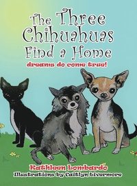 bokomslag The Three Chihuahuas Find a Home