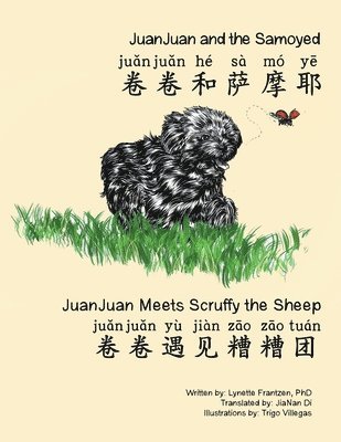 Juanjuan and the Samoyed & Juanjuan Meets Scruffy the Sheep 1