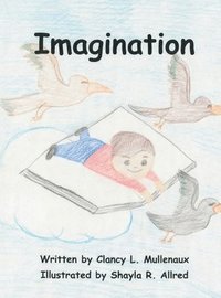 bokomslag Imagination