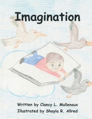 bokomslag Imagination