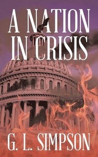 bokomslag A Nation in Crisis